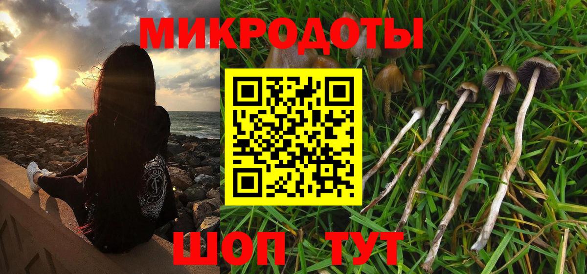 Псилоцибиновые грибы GOLDEN TEACHER  Вход с VPN  Минусинск 